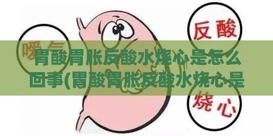 债券市场动态