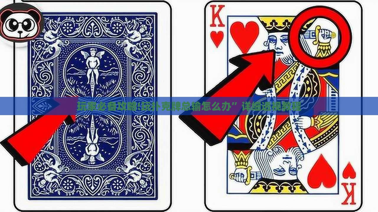 玩家必备攻略!玩扑克牌总输怎么办”详细透视教程