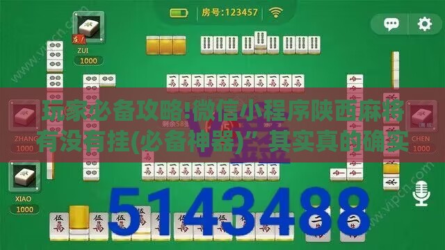 玩家必备攻略!微信小程序陕西麻将有没有挂(必备神器)”其实真的确实有挂