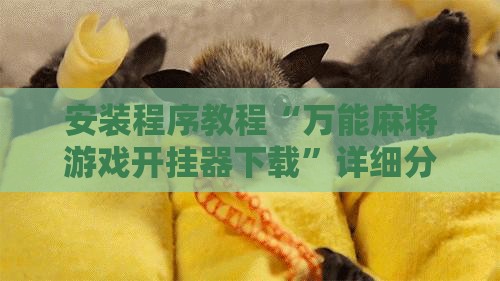 安装程序教程“万能麻将游戏开挂器下载”详细分享装挂步骤