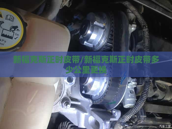 安装程序教程“徽乐麻将可以开挂吗安卓	”开挂辅助透视教程