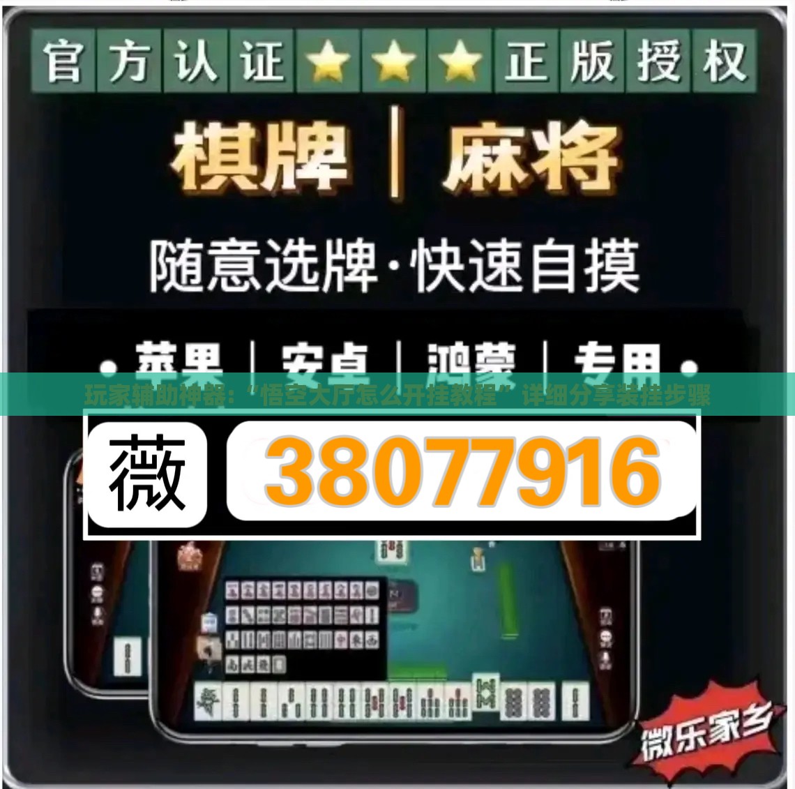 玩家辅助神器:“悟空大厅怎么开挂教程”详细分享装挂步骤