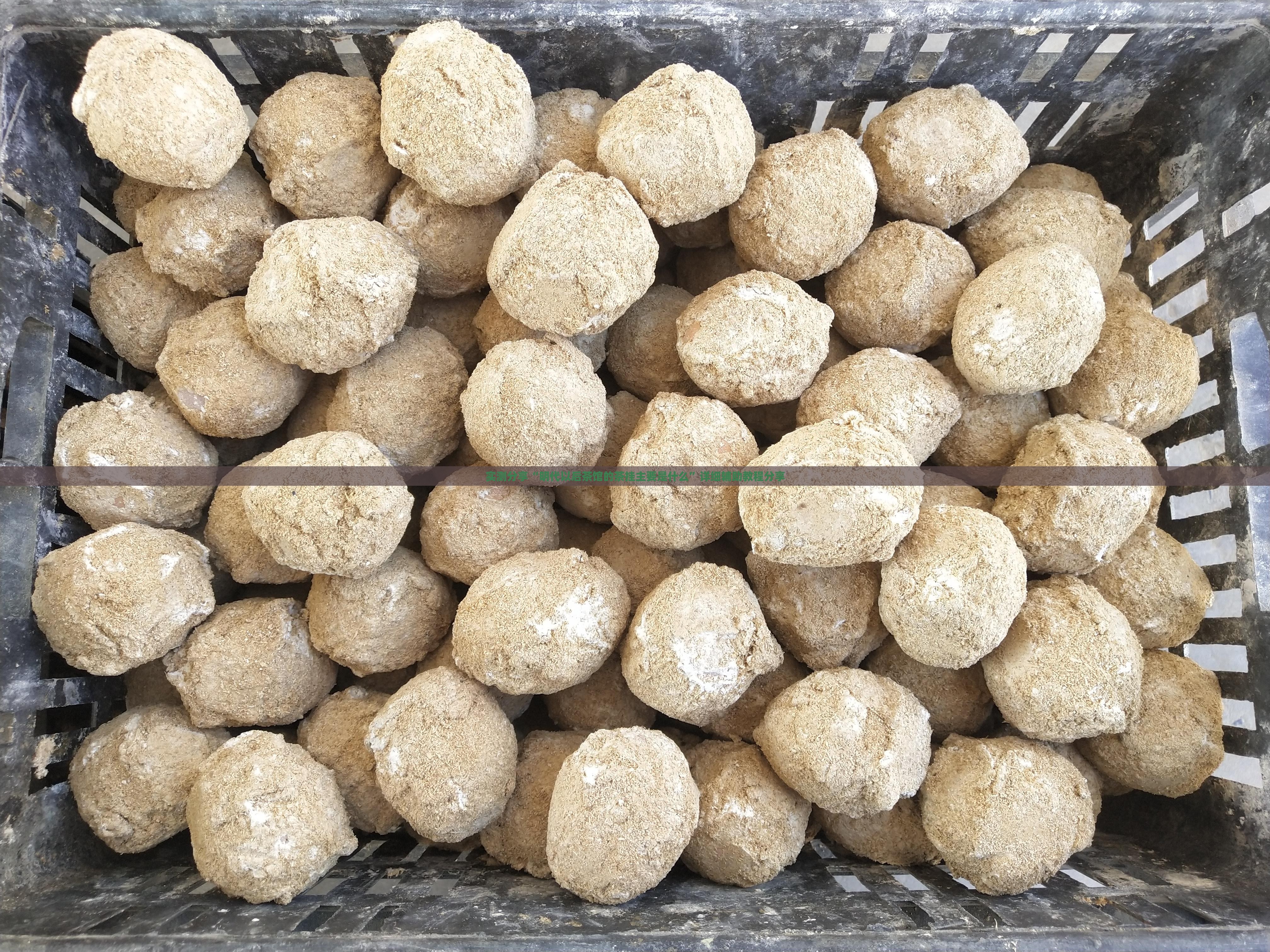 实测分享“明代以后茶馆的茶挂主要是什么”详细辅助教程分享