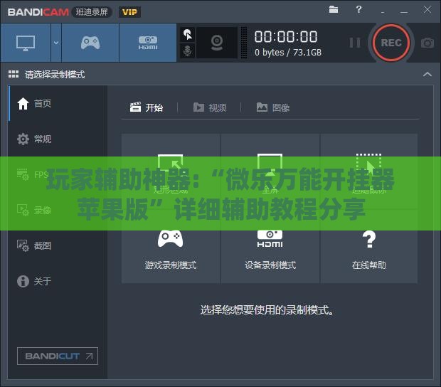 债券市场动态