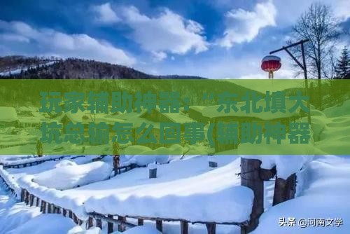 玩家辅助神器:“东北填大坑总输怎么回事(辅助神器)开挂详细教程