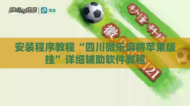 安装程序教程“四川微乐麻将苹果版挂	”详细辅助软件教程