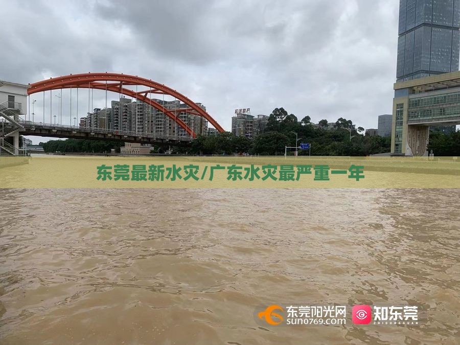 东莞最新水灾/广东水灾最严重一年 东莞最新水灾/广东水灾最严重一年
