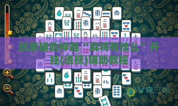 玩家辅助神器“麻将有挂么”开挂(透视)辅助教程
